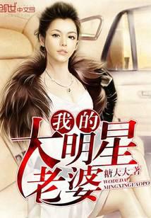 我的大明星老婆