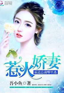 惹火娇妻：霸道总裁哪里逃